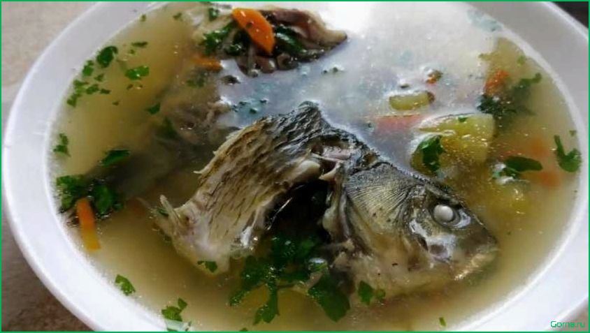 Приготовление вкусного и питательного рыбного супа из свежего язя: рецепт и секреты.