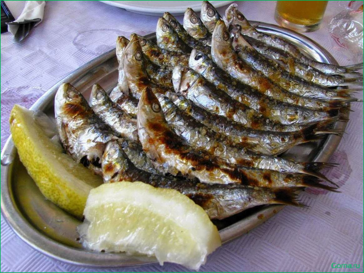 Сардина: рыба и блюда из нее