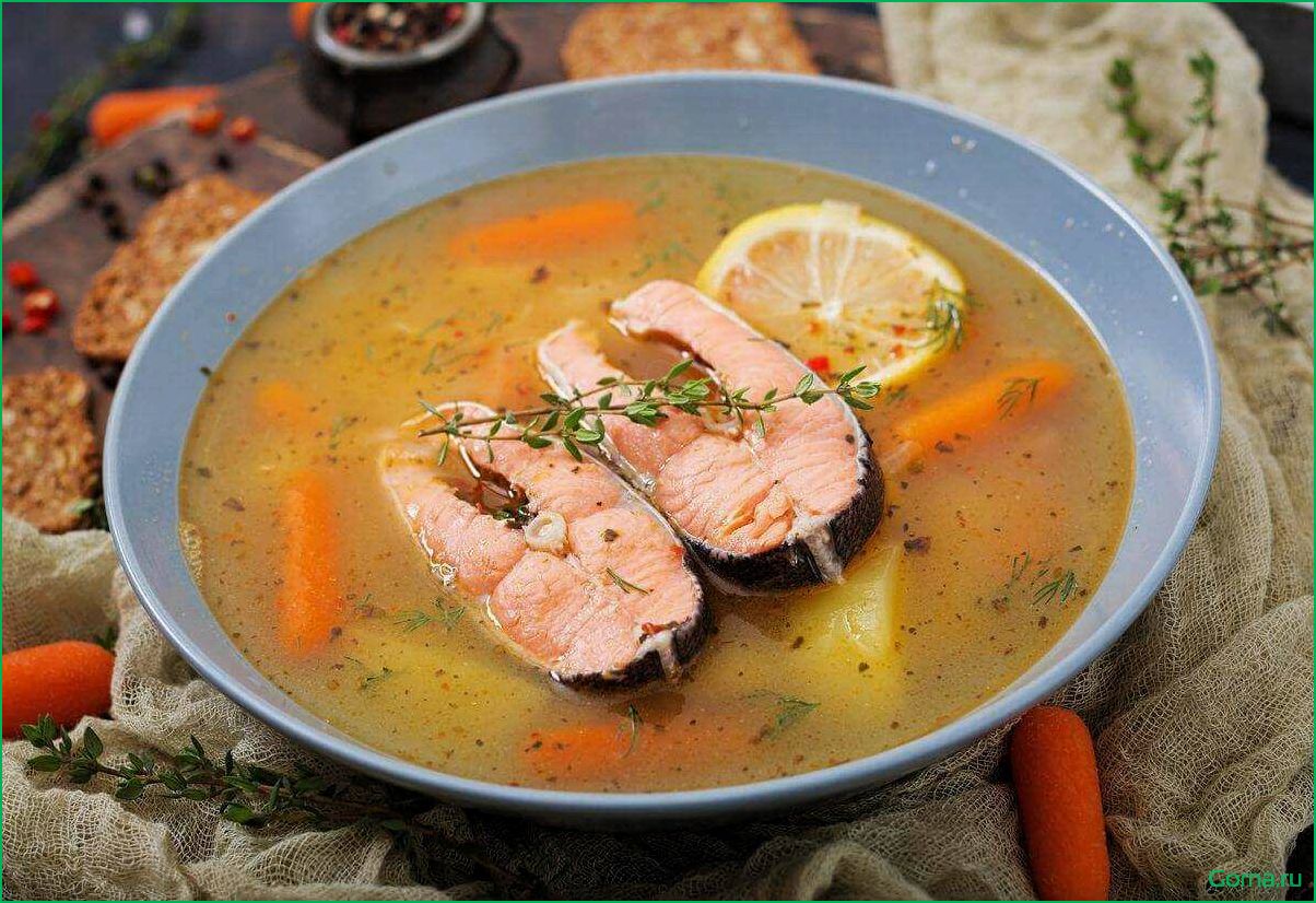 Насыщенный рыбный суп с нежным филе форели — идеальный выбор для вкусного и полезного обеда