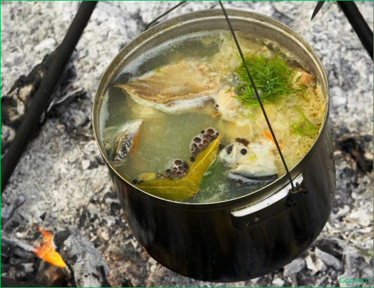 (рыбный, костре, лучший, рецепт, секреты) Рыбный суп на костре: лучший рецепт и секреты приготовления
