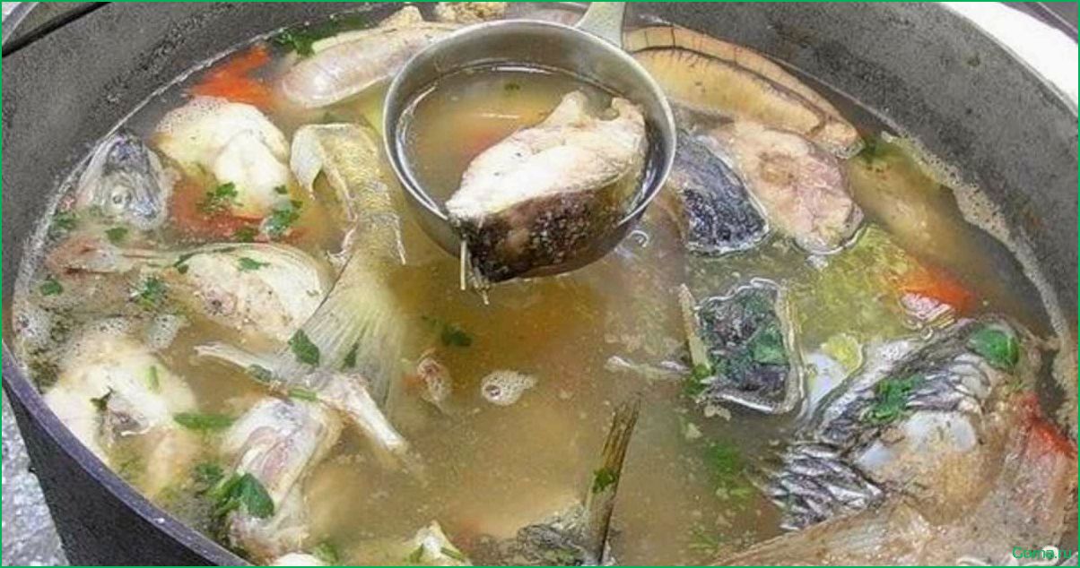 (рыбный, костре, лучший, рецепт, секреты) Рыбный суп на костре: лучший рецепт и секреты приготовления