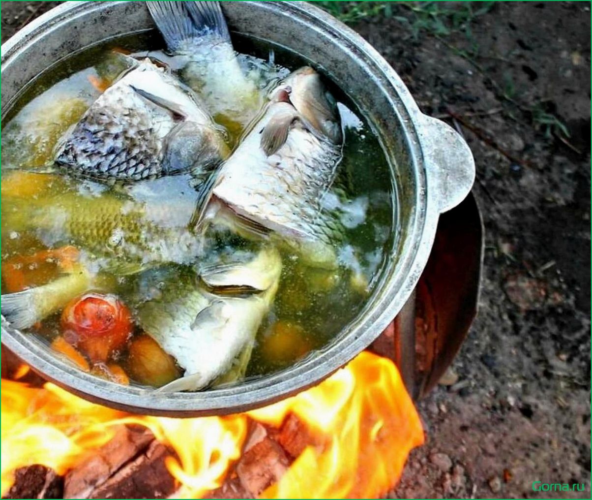 (рыбный, костре, лучший, рецепт, секреты) Рыбный суп на костре: лучший рецепт и секреты приготовления