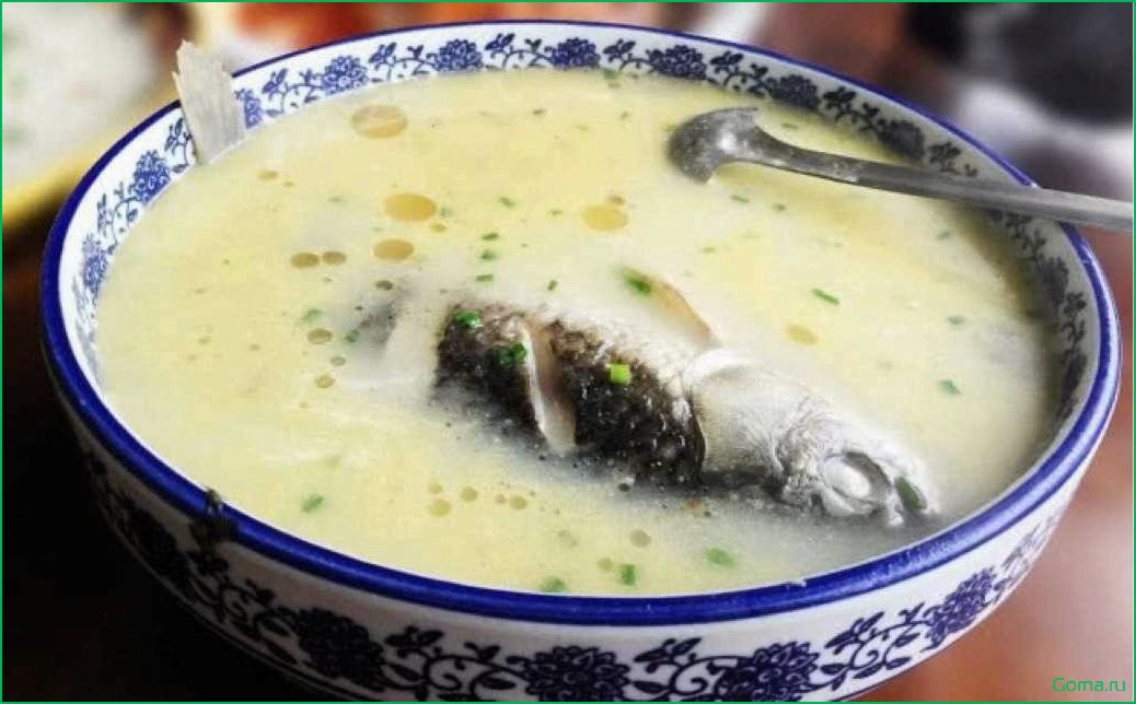 Рыбный суп при диете: полезный и вкусный рецепт