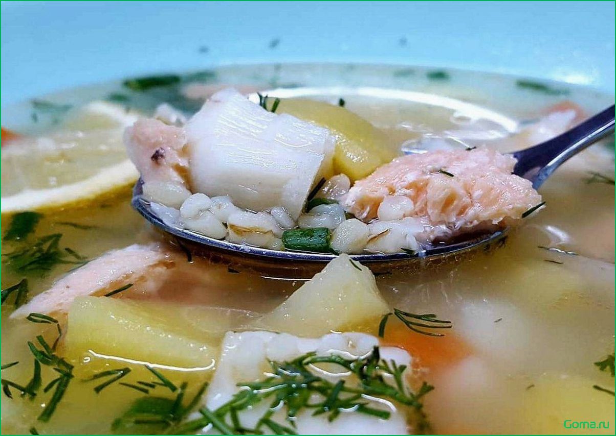 Рецепт вкусного рыбного супа с добавлением ароматной редьки