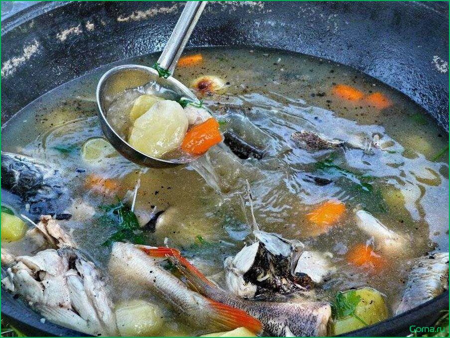 (рецепт, рыбного, супа, сухого) Рецепт рыбного супа сухого