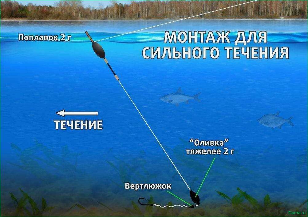 Советы по ловле рыбы на поплавочную удочку