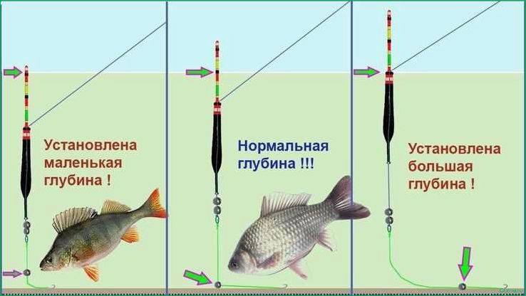 Советы по ловле рыбы на поплавочную удочку