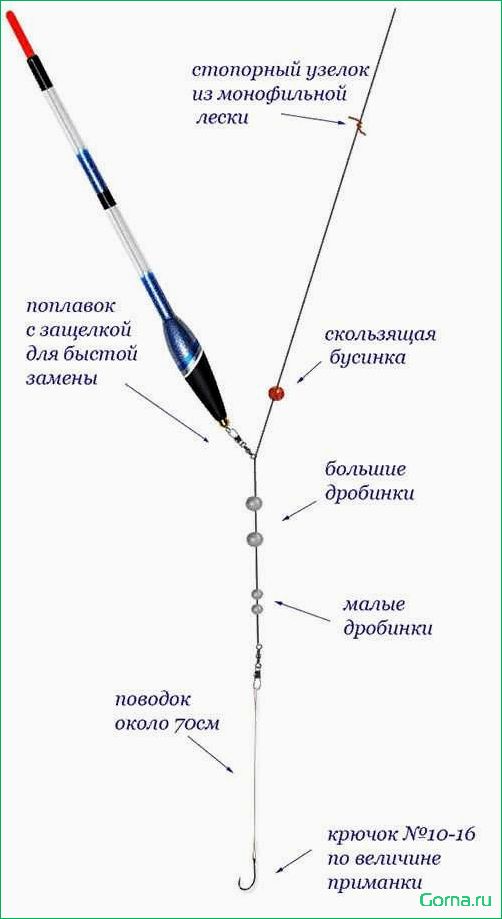 Эффективные техники ловли рыбы с поплавком и грузом