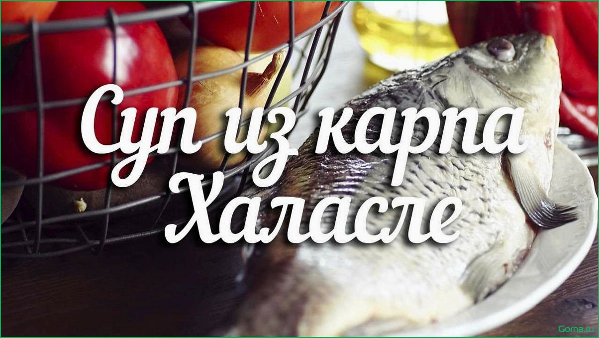 Рыбный суп халасли