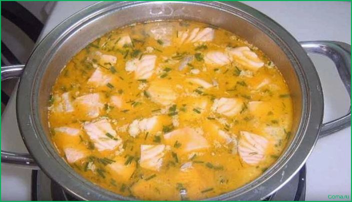 (рецепт, рыбного, супа, сыром) Рецепт рыбного супа с сыром