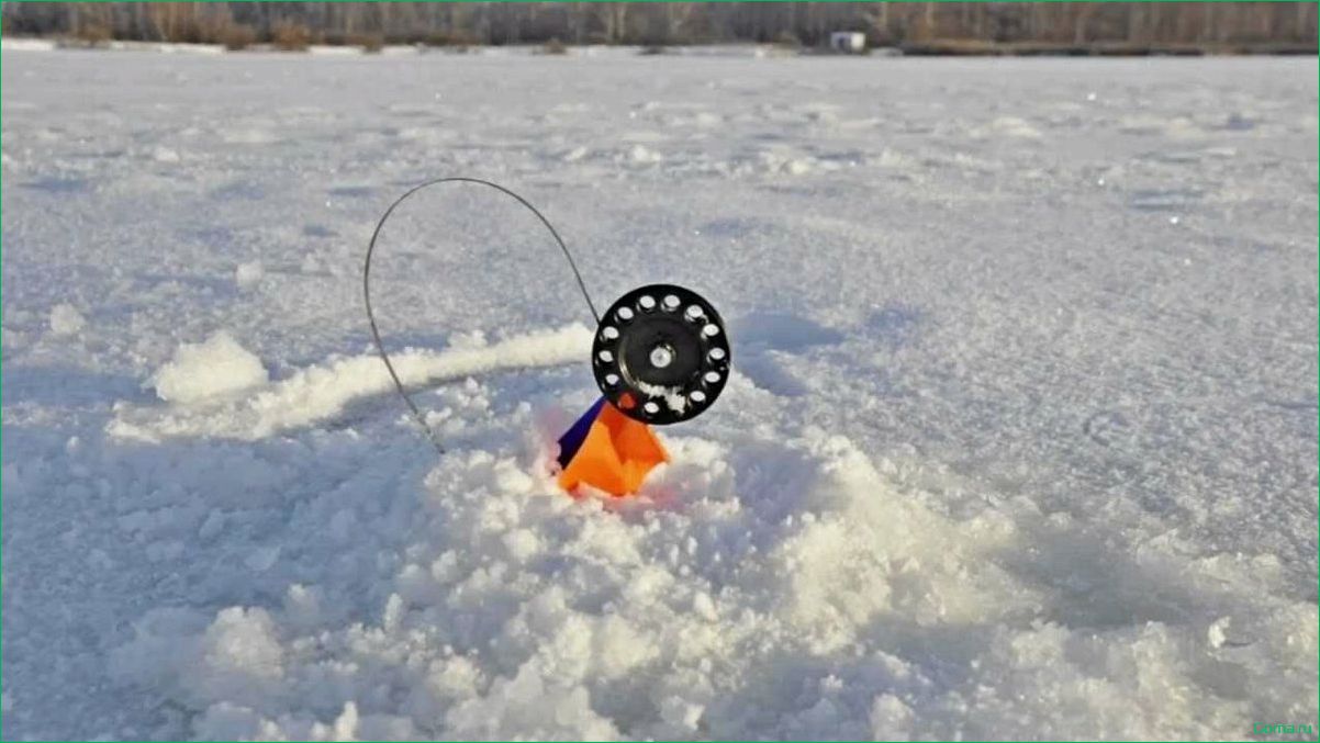 (успешная, ловля, щуки, жерлицы, камыше) Успешная ловля щуки на жерлицы в камыше зимой