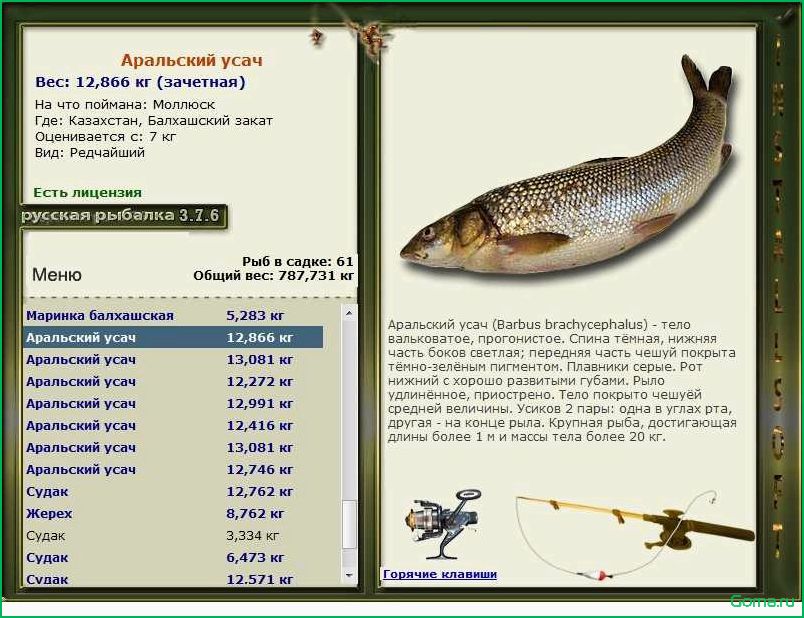 Усач рыба: рецепты и блюда