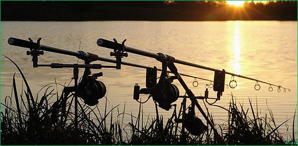 Рыболовная катушка ниндзя — искусство ловли рыбы с мастерством, которое преображает ваши рыболовные приключения!