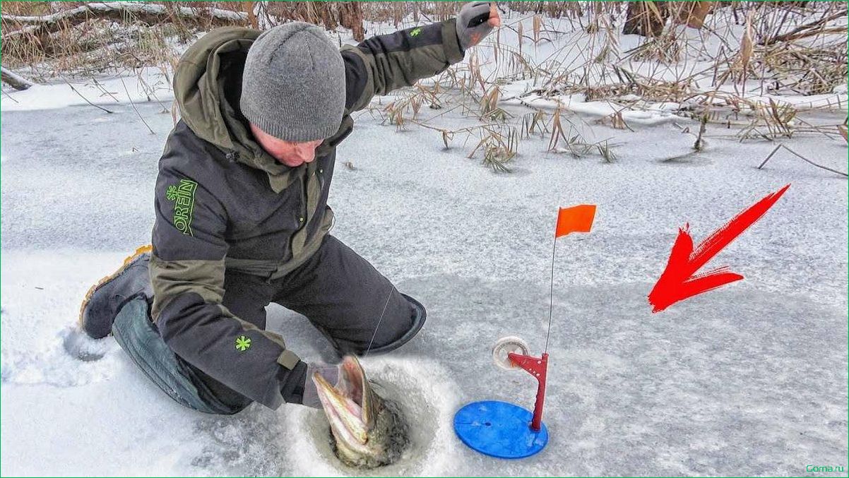 Секреты успешной зимней ловли рыбы на жерлицы
