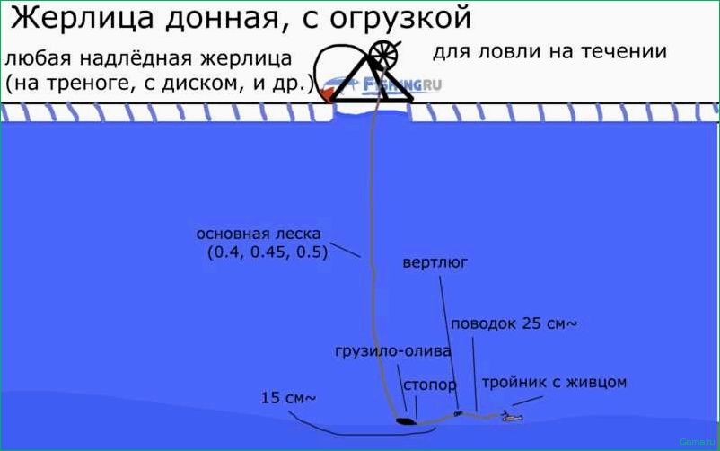 Секреты успешной зимней ловли рыбы на жерлицы