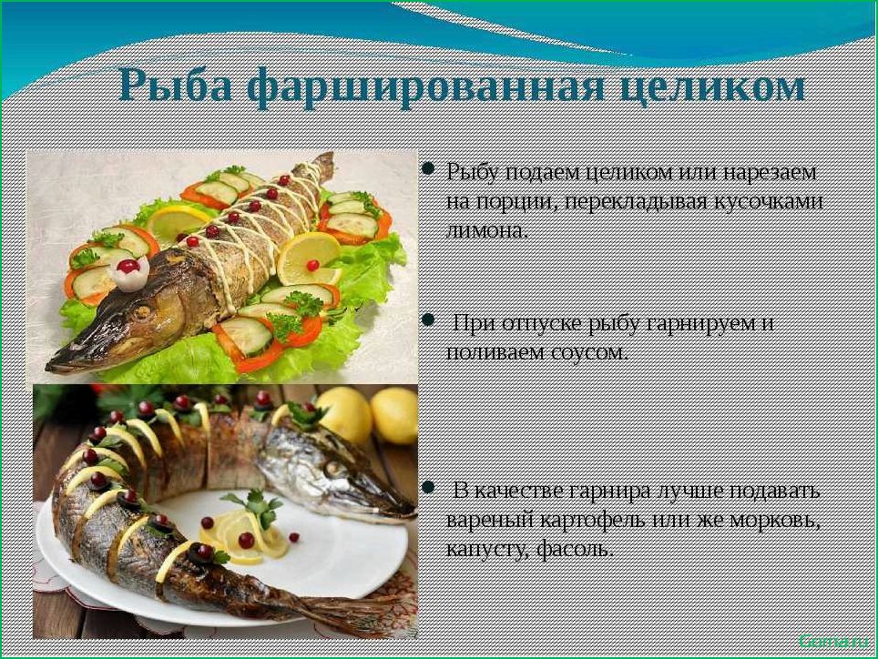 (схема, блюд, рыбы) Схема блюд из рыбы
