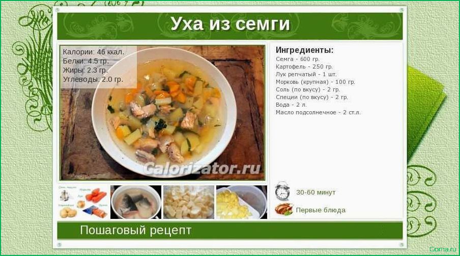 Рыбный суп: калорийность и польза