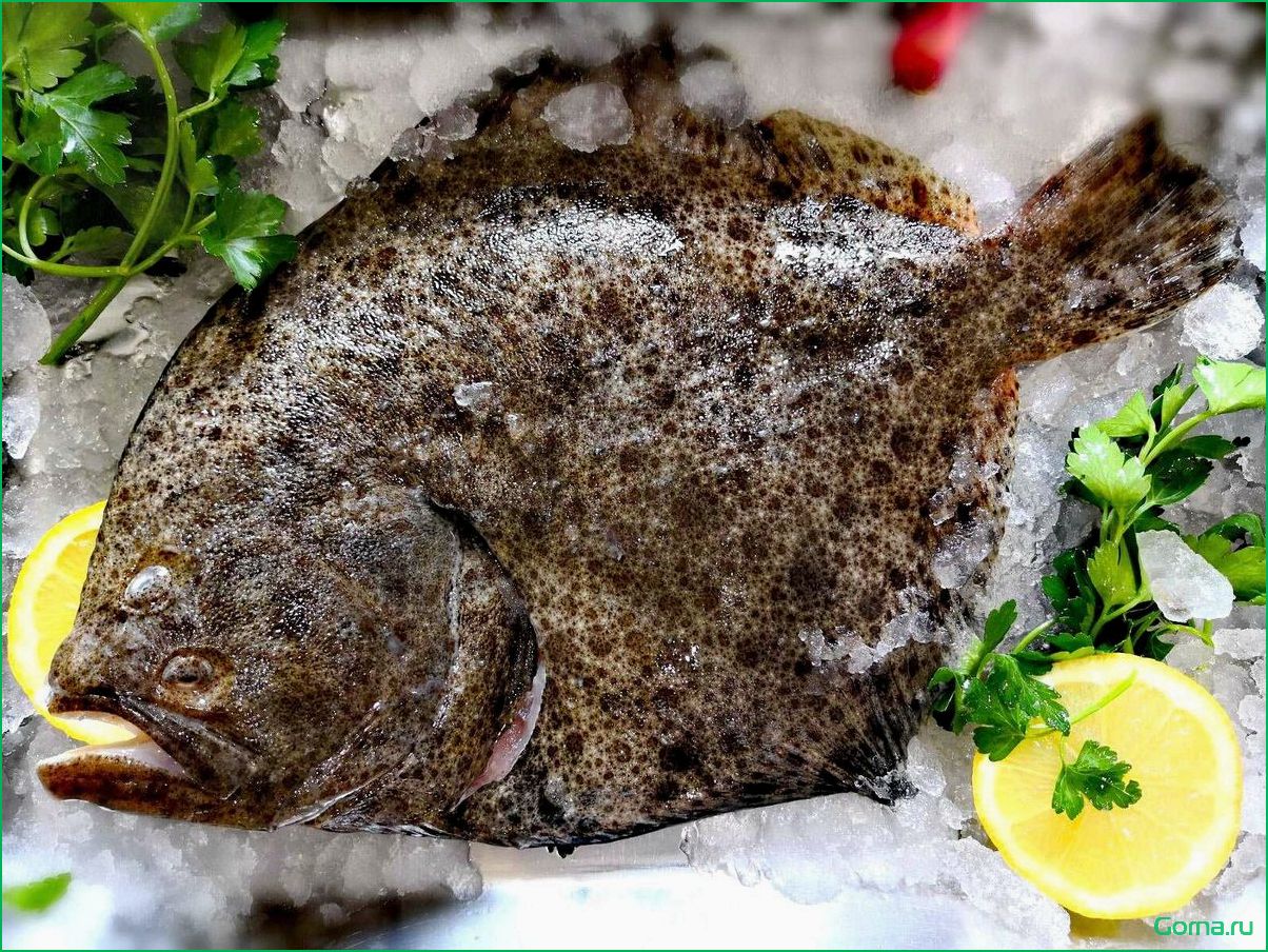Приготовление турбо-рыбы: вкусное блюдо настоящего гурмана
