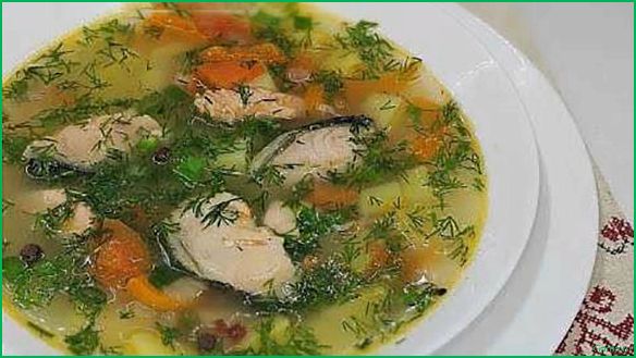Уха из рыбных хребтов: рецепт приготовления и секреты вкуса