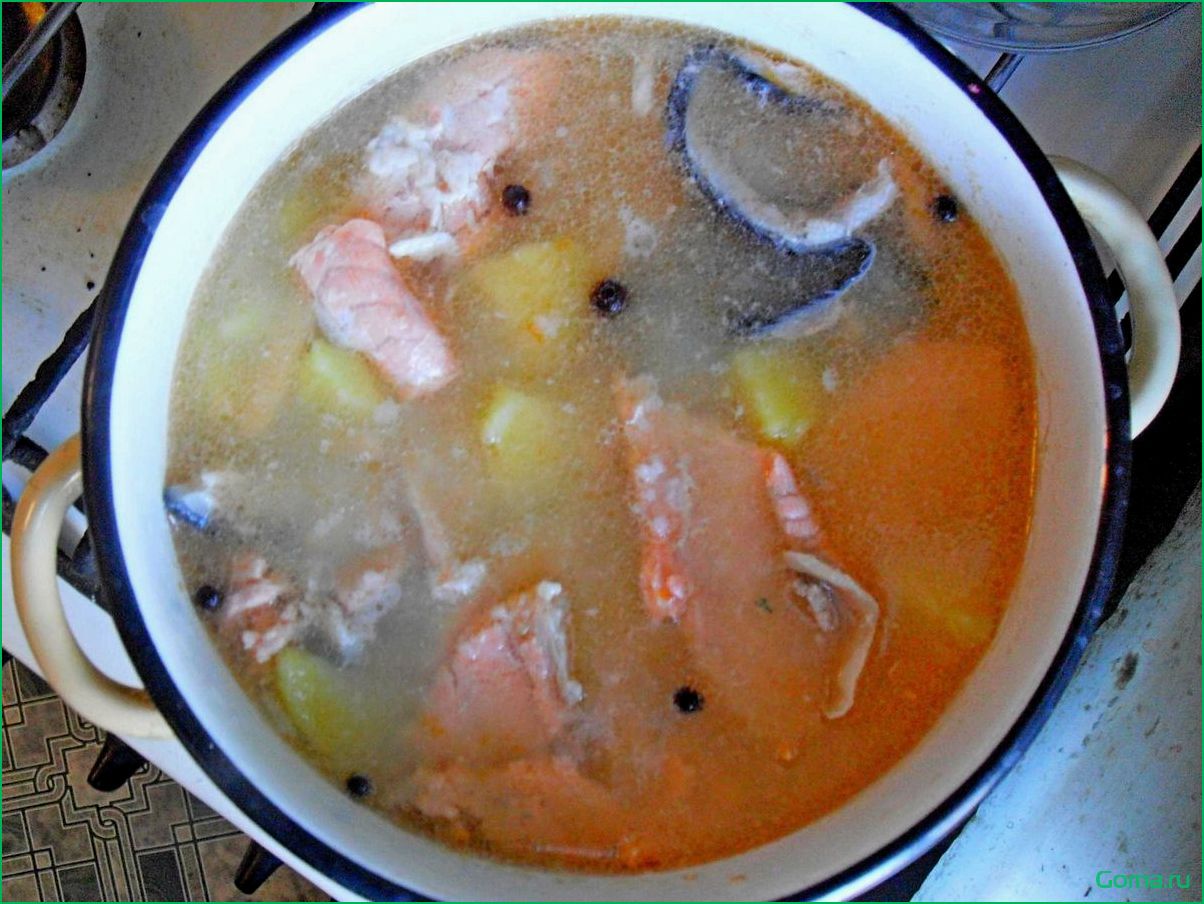 Уха из рыбных хребтов: рецепт приготовления и секреты вкуса