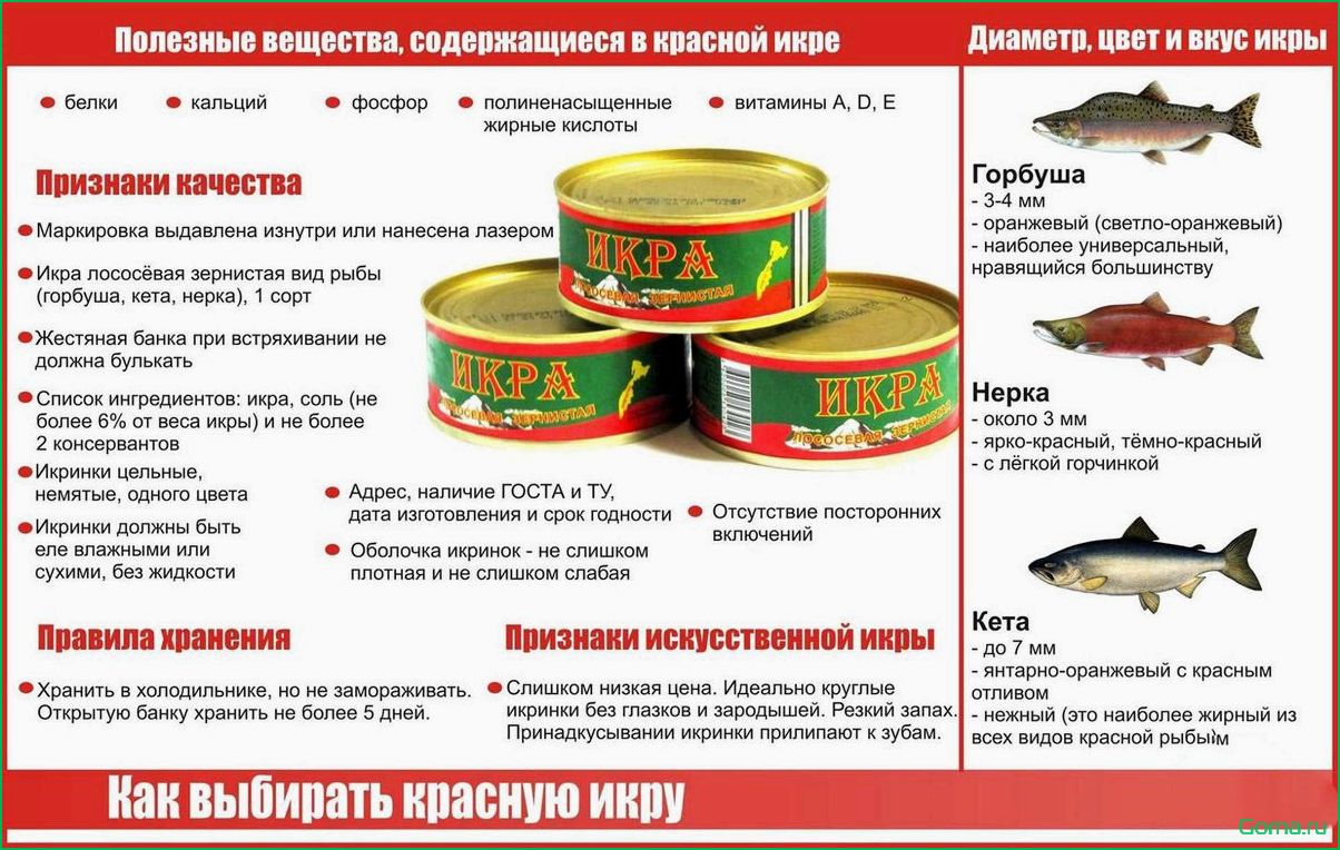 (рыбной, икры) Уха из рыбной икры